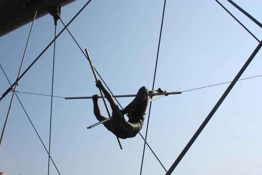 definition of trapeze swinger